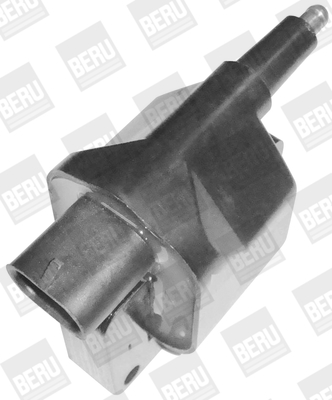 Picture of Ignition Coil - BorgWarner (BERU) - ZS394