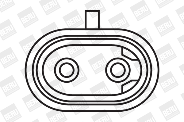 Picture of Ignition Coil - BorgWarner (BERU) - ZS394