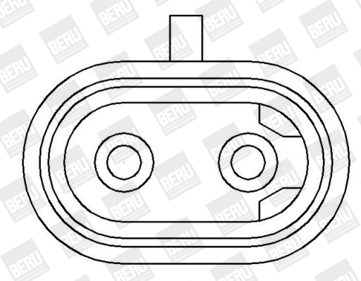 Picture of Ignition Coil - BorgWarner (BERU) - ZS394
