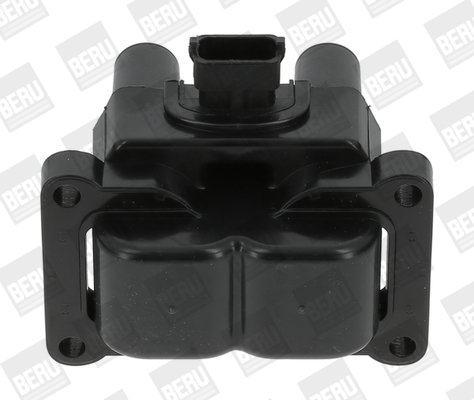 Picture of Ignition Coil - BorgWarner (BERU) - ZS395