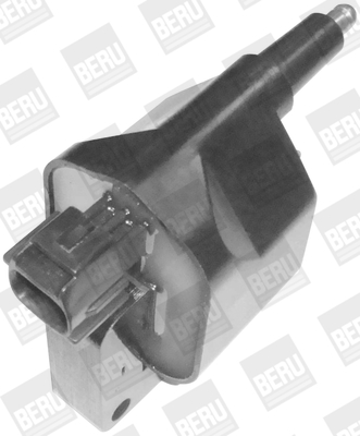 Picture of Ignition Coil - BorgWarner (BERU) - ZS396