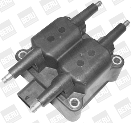 Picture of Ignition Coil - BorgWarner (BERU) - ZS398