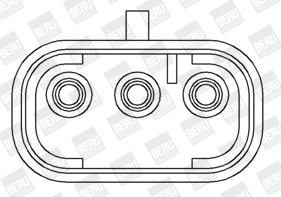 Picture of Ignition Coil - BorgWarner (BERU) - ZS398
