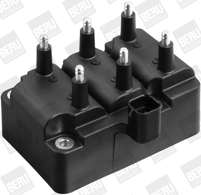 Picture of Ignition Coil - BorgWarner (BERU) - ZS404