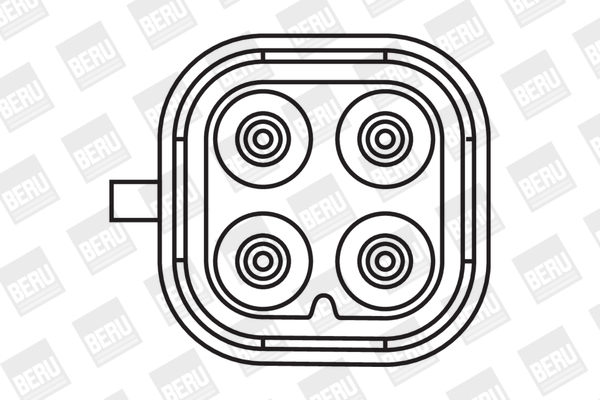 Picture of Ignition Coil - BorgWarner (BERU) - ZS404