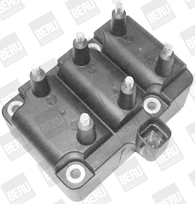 Picture of BorgWarner (BERU) - ZS405