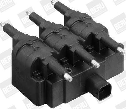 Picture of Ignition Coil - BorgWarner (BERU) - ZS407