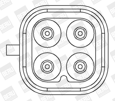 Picture of Ignition Coil - BorgWarner (BERU) - ZS407