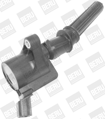 Picture of Ignition Coil - BorgWarner (BERU) - ZS409