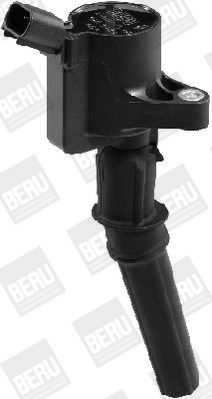 Picture of Ignition Coil - BorgWarner (BERU) - ZS409