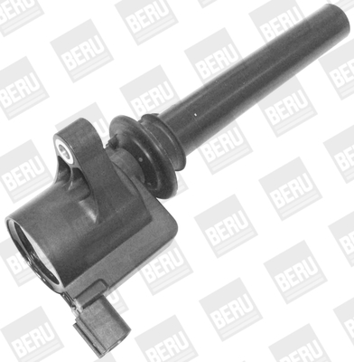 Picture of Ignition Coil - BorgWarner (BERU) - ZS410