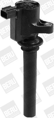 Picture of Ignition Coil - BorgWarner (BERU) - ZS410
