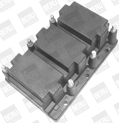 Picture of Ignition Coil - BorgWarner (BERU) - ZS416