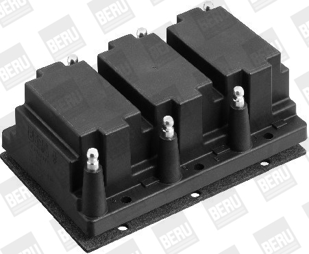 Picture of Ignition Coil - BorgWarner (BERU) - ZS416