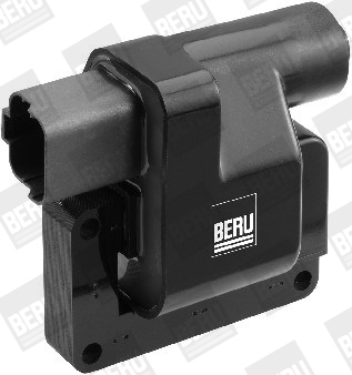Picture of Ignition Coil - BorgWarner (BERU) - ZS417