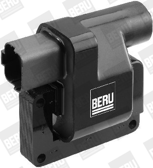 Picture of Ignition Coil - BorgWarner (BERU) - ZS419