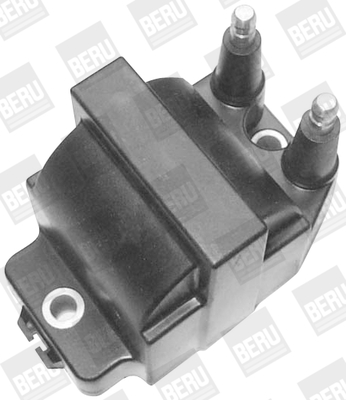 Picture of Ignition Coil - BorgWarner (BERU) - ZS421