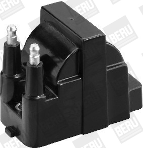 Picture of Ignition Coil - BorgWarner (BERU) - ZS421