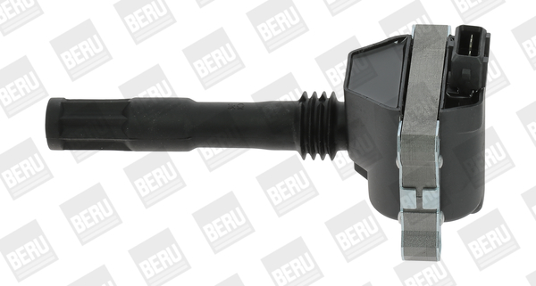 Picture of Ignition Coil - BorgWarner (BERU) - ZS428