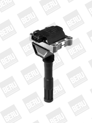Picture of Ignition Coil - BorgWarner (BERU) - ZS428