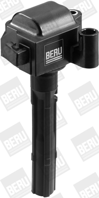 Picture of Ignition Coil - BorgWarner (BERU) - ZS430