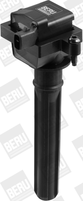 Picture of Ignition Coil - BorgWarner (BERU) - ZS431
