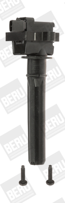 Picture of Ignition Coil - BorgWarner (BERU) - ZS431