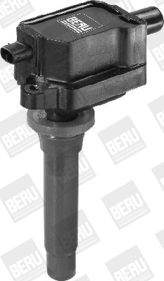 Picture of Ignition Coil - BorgWarner (BERU) - ZS433