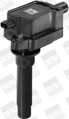 Picture of Ignition Coil - BorgWarner (BERU) - ZS434