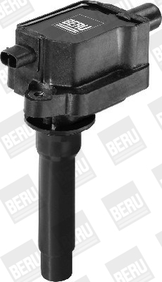 Picture of Ignition Coil - BorgWarner (BERU) - ZS434