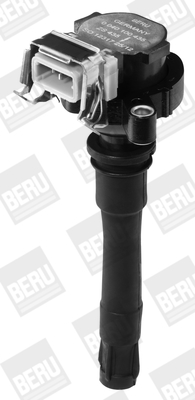 Picture of Ignition Coil - BorgWarner (BERU) - ZS435