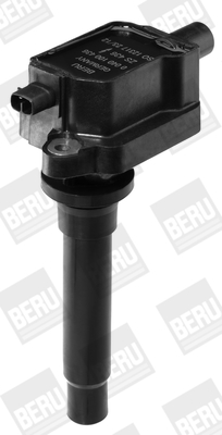 Picture of Ignition Coil - BorgWarner (BERU) - ZS436