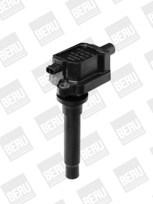 Picture of Ignition Coil - BorgWarner (BERU) - ZS436