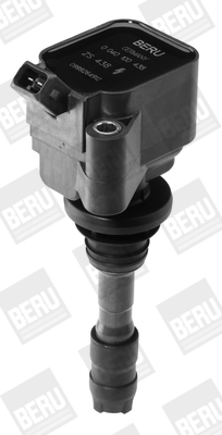 Picture of Ignition Coil - BorgWarner (BERU) - ZS438