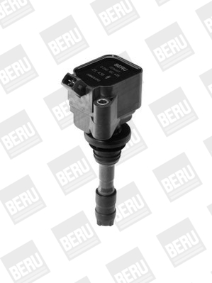 Picture of Ignition Coil - BorgWarner (BERU) - ZS438