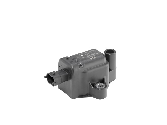 Picture of Ignition Coil - BorgWarner (BERU) - ZS439