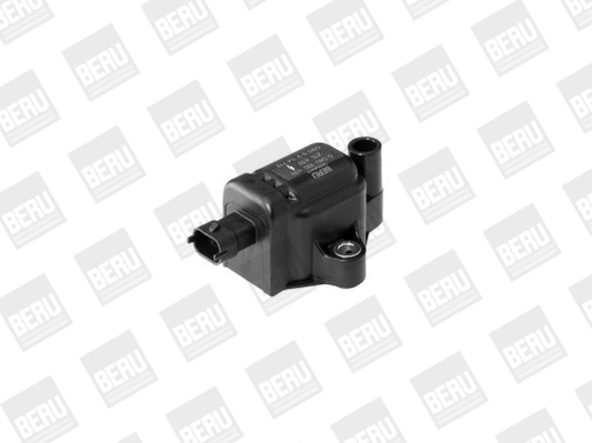 Picture of Ignition Coil - BorgWarner (BERU) - ZS439