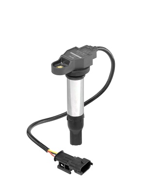 Picture of Ignition Coil - BorgWarner (BERU) - ZS441