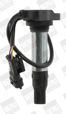 Picture of Ignition Coil - BorgWarner (BERU) - ZS441
