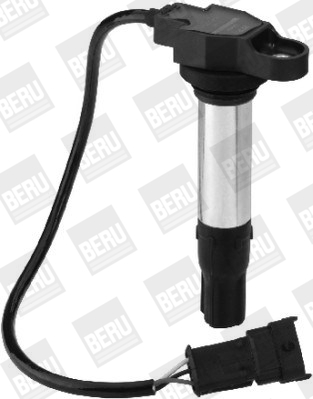 Picture of Ignition Coil - BorgWarner (BERU) - ZS441