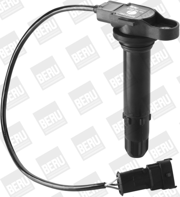 Picture of Ignition Coil - BorgWarner (BERU) - ZS443