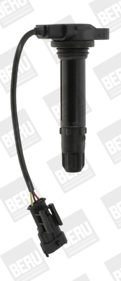 Picture of Ignition Coil - BorgWarner (BERU) - ZS443