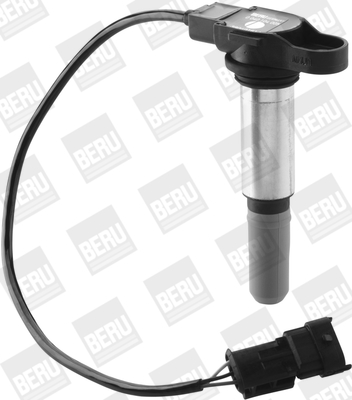 Picture of Ignition Coil - BorgWarner (BERU) - ZS444