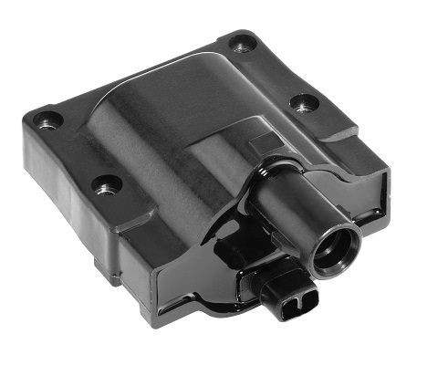 Picture of Ignition Coil - BorgWarner (BERU) - ZS445