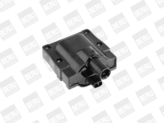 Picture of Ignition Coil - BorgWarner (BERU) - ZS445
