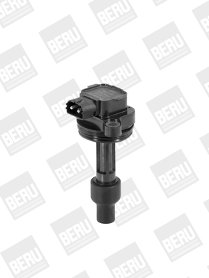 Picture of Ignition Coil - BorgWarner (BERU) - ZS446