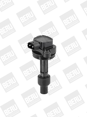Picture of Ignition Coil - BorgWarner (BERU) - ZS446