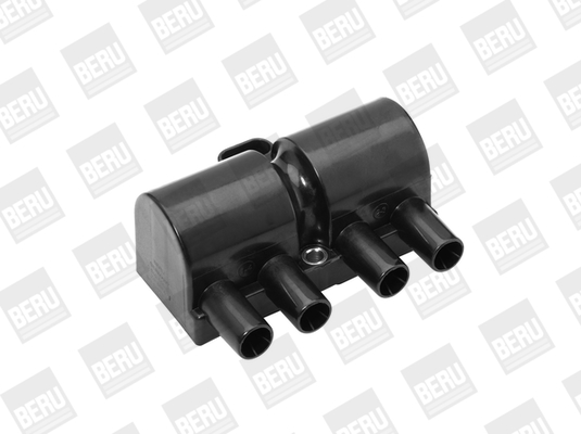 Picture of Ignition Coil - BorgWarner (BERU) - ZS447A