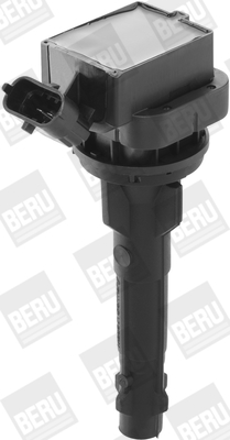 Picture of Ignition Coil - BorgWarner (BERU) - ZS449