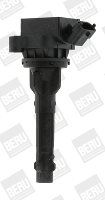 Picture of BorgWarner (BERU) - ZS449
